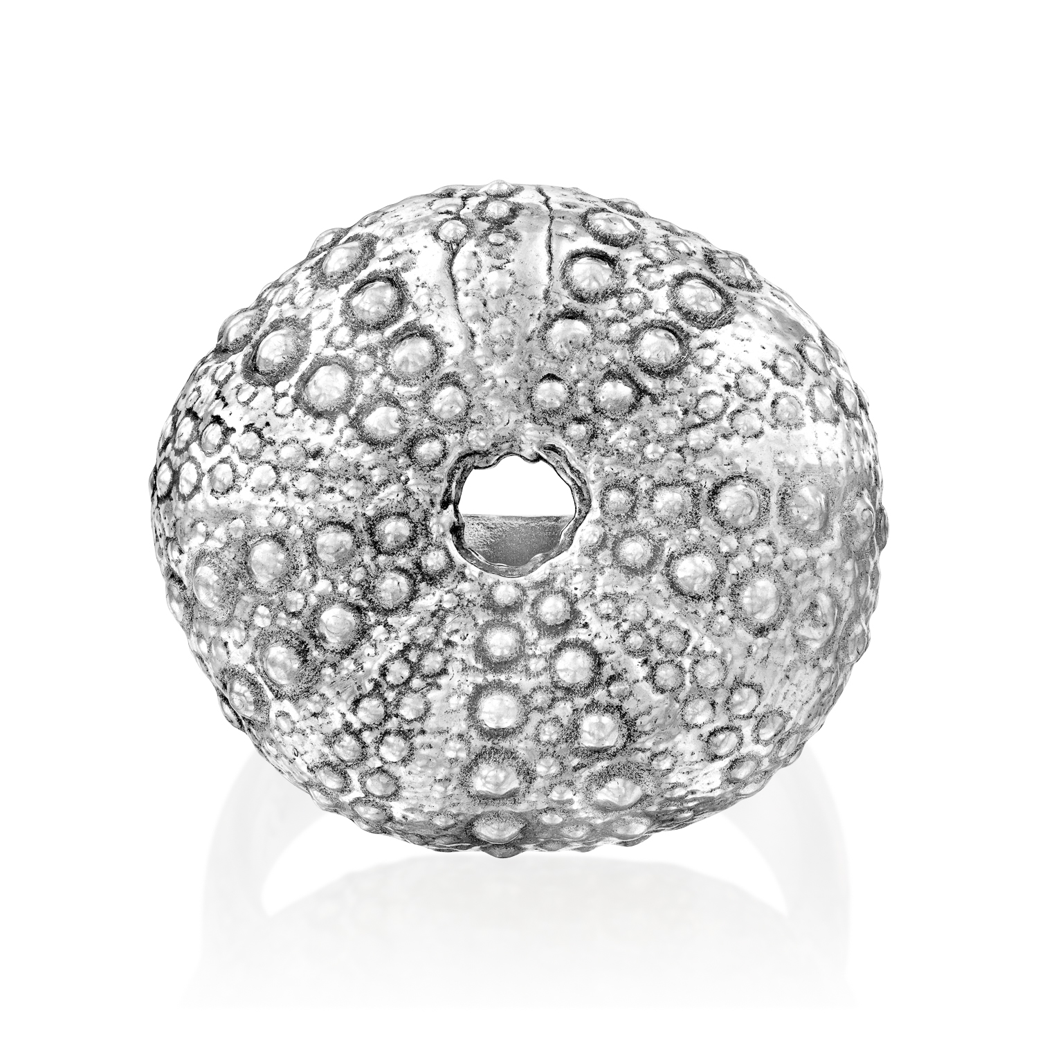 ASTRA Ring